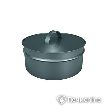 Заглушки Теплов и Сухов Заглушка ревизии Термо-Р 304 0.5 D220(120) в Ярославле