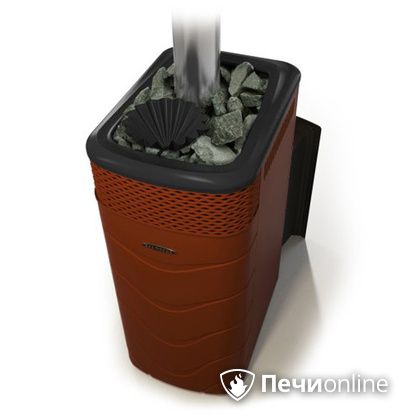 Дровяная банная печь TMF Гейзер XXL 2017 Inox Витра закрытая каменка терракота в Ярославле